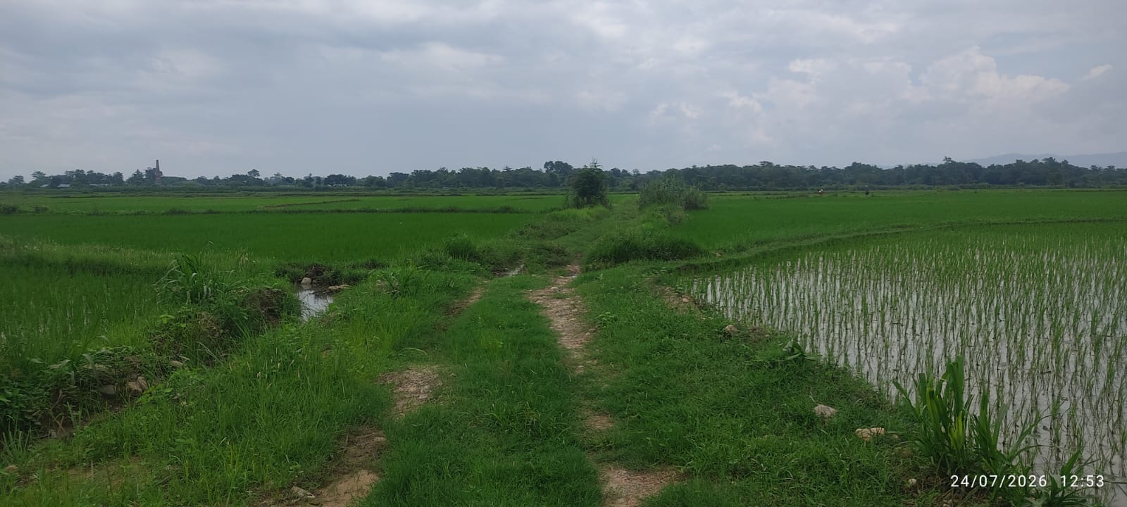 land at tamsariya, Nawalparasi